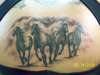 wild horses tattoo