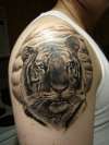 Black & Grey Tiger tattoo