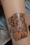 tiger cub done by Fat Kat's tattoo