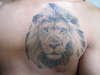 Lion Portrait 2 tattoo