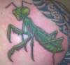 Preying Mantis tattoo