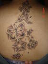 BUTTERFLY/STARS tattoo