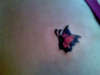 Butterfly tattoo