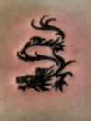 Dragon tattoo