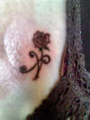 Rose tattoo