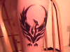 tribal pheonix tattoo
