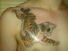 Tiger1 tattoo