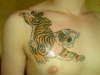 Tiger4 tattoo