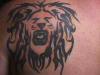 Tribal Lion tattoo