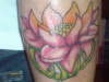 lotus flower tattoo