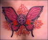 Butterfly tattoo