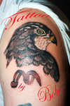Marks bird. tattoo