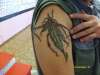 FEATHER tattoo