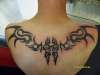 tribal tattoo