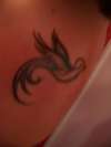 Blue Bird tattoo