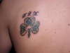 Knotted Clover tattoo
