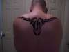 tribal longhorn tattoo