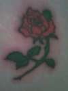 A ROSE tattoo
