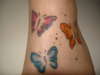 Butterflies tattoo