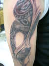 Evil lies within/Snake tattoo