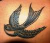 Swallow tattoo