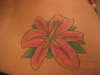 Oriental Lily 2 tattoo