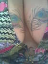 Peacock Feathers tattoo