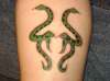 taurus/year of the snake. my own design tattoo