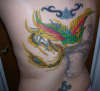 Phoenix 1/2 color tattoo