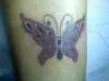Butterfly tattoo