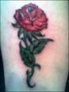 rose tattoo