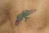 butterfly on foot tattoo
