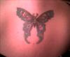 My Pretty Butterfly in the middle of my shoulder blades tattoo