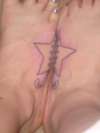 Half of a star tattoo