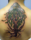willow tree of life tattoo