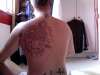 Koi Back tattoo