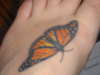 The Butterfly tattoo