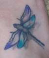 Hovering Dragonfly tattoo