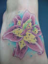 magenta lily tattoo