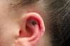 Ladybug Ear Tattoo