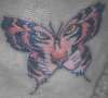 Tiger Butterfly tattoo