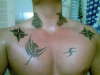 Cooool Tattoo