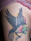 Robin Bird tattoo