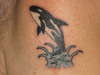 Orca tattoo
