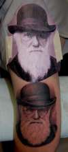 Darwin 2 tattoo