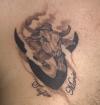 Bull tattoo