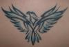 bird tattoo