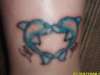 Dolphins tattoo