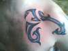 latest tat tattoo