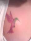 hummingbird tattoo
